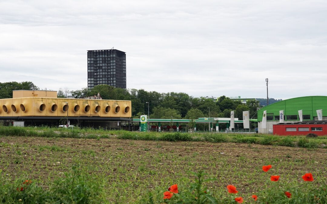 RHEINDIALOGFokusgebiet 4