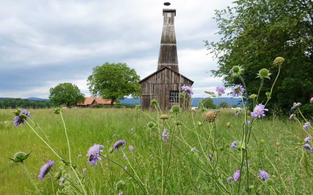 LANDSCHAFTSPARK 2.0Fokusgebiet 1