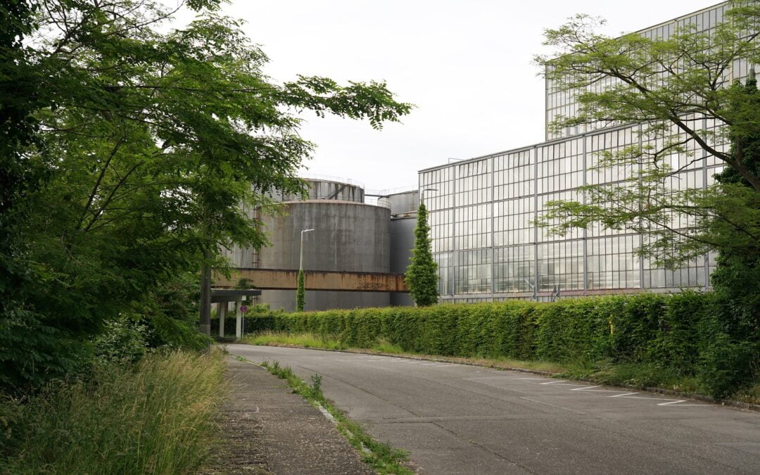 INDUSTRIE UND WALDFokusgebiet 5